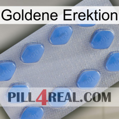 Golden Erection 21